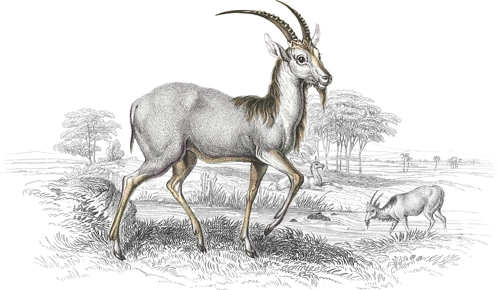 Takhaitze